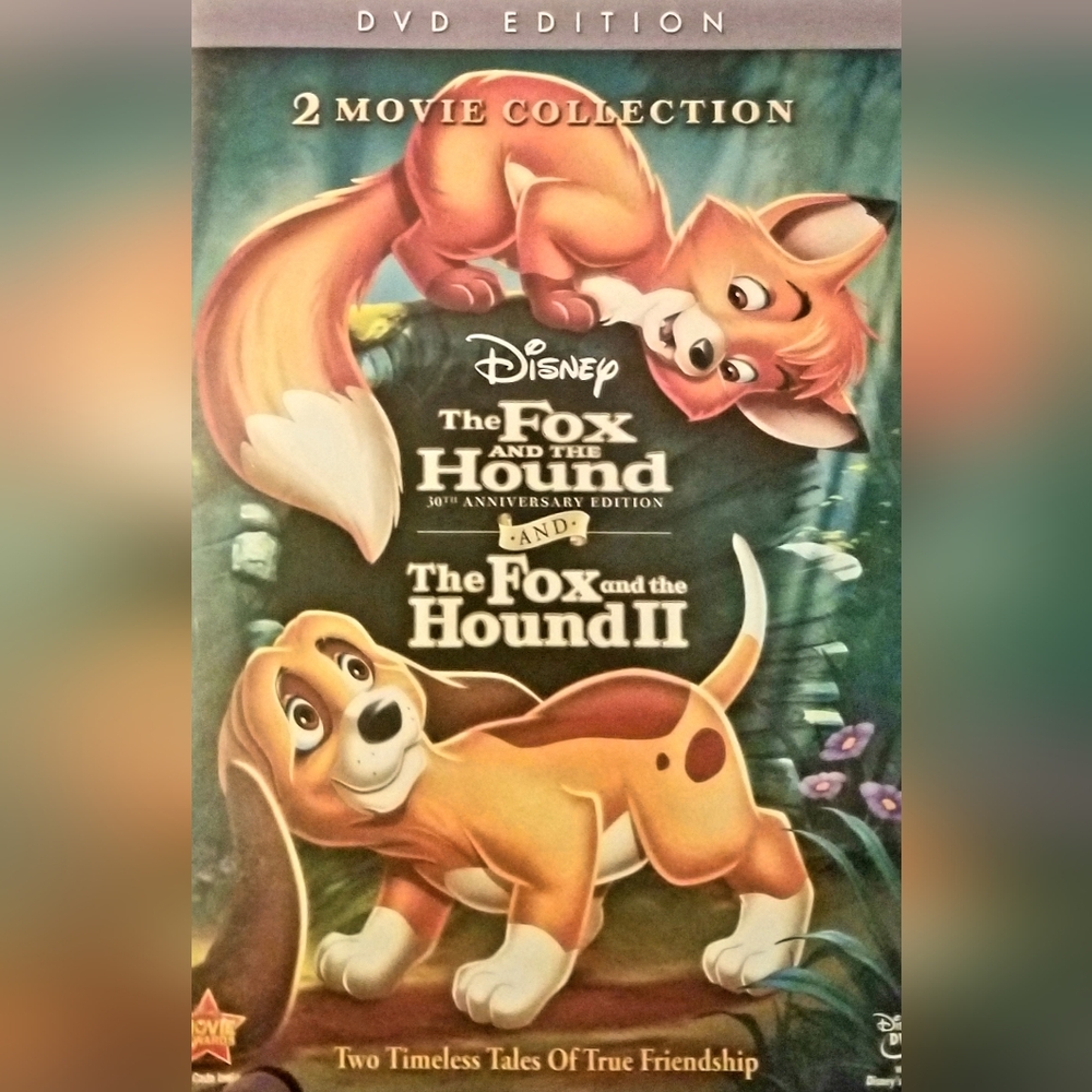 DISNEY 2 Movie DVD Set